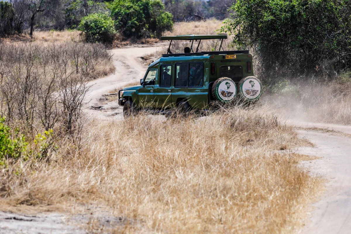Photography Expeditions safari experience