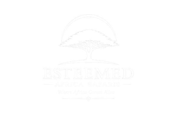 Esteemed Africa Safaris logo