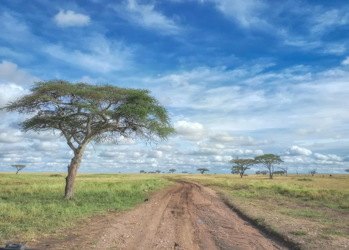 4 Days Maasai Mara Safari