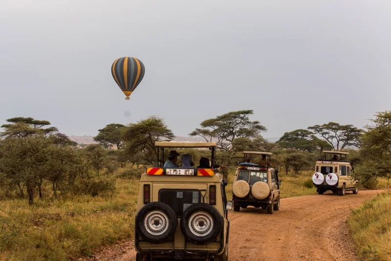 7 Days Best of Kenya Safari