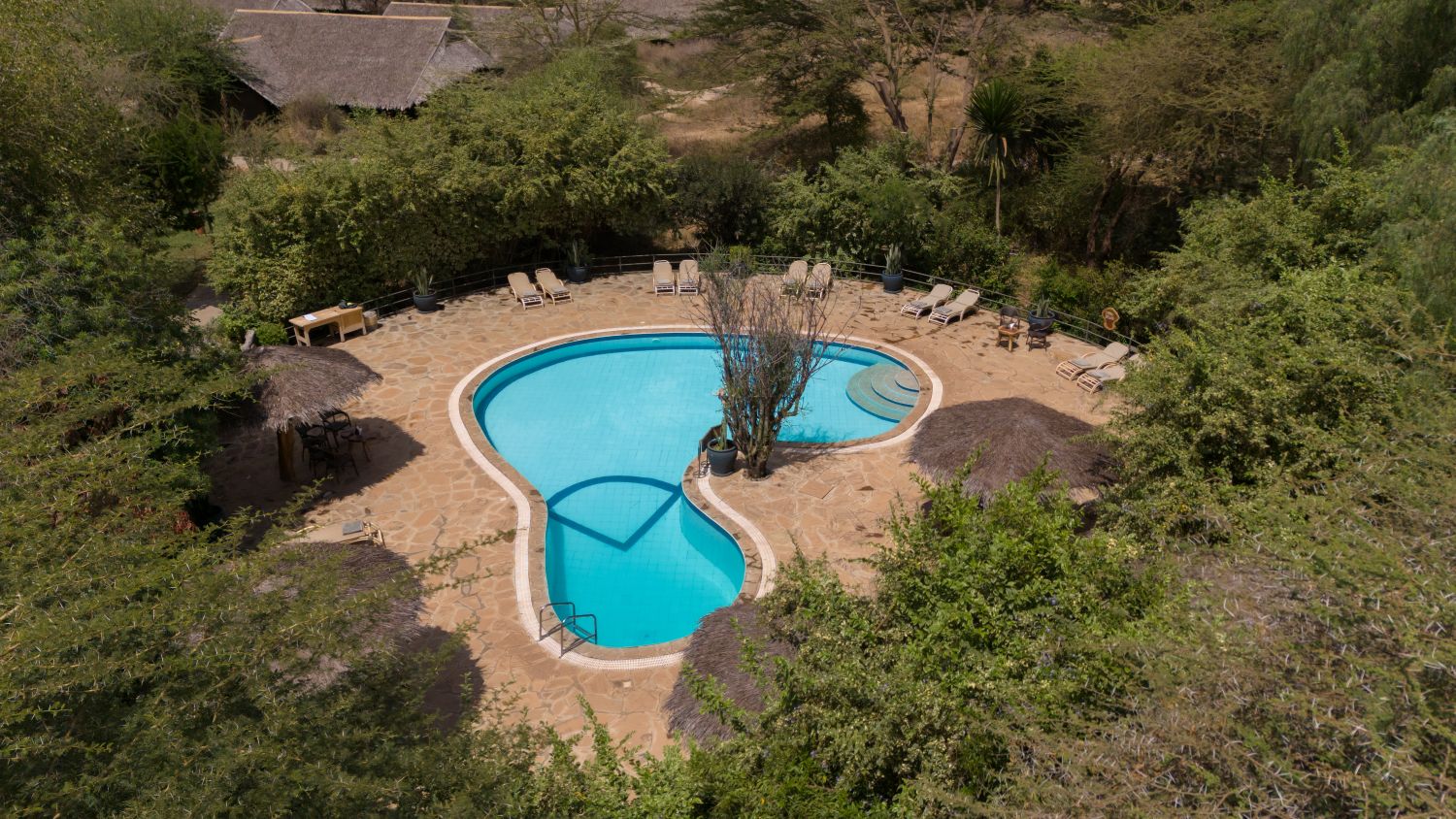 Kibo Safari Camp - Gallery
