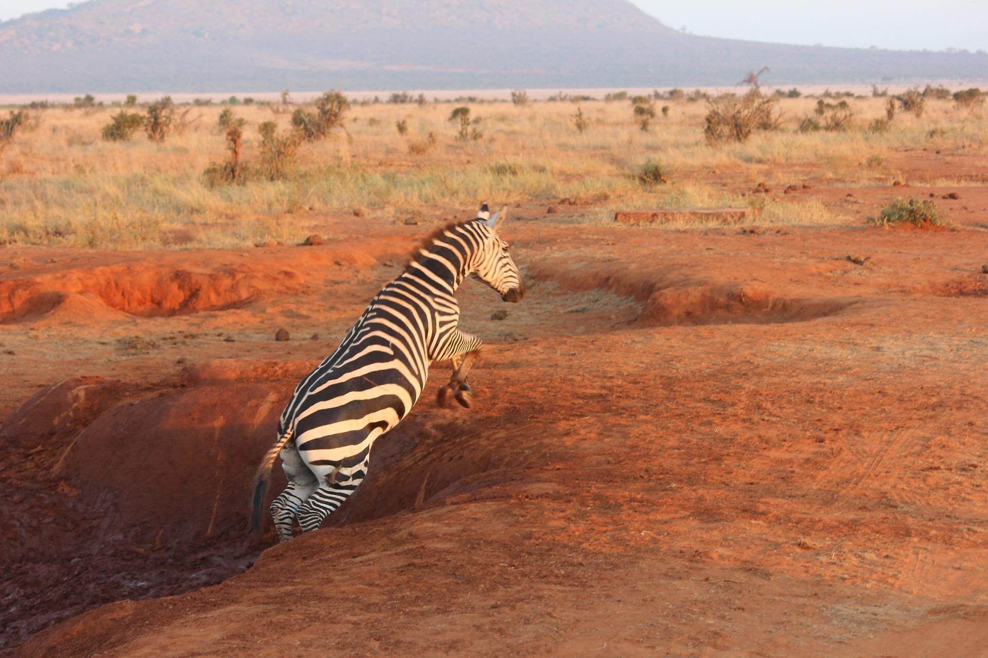 Tsavo West National Park