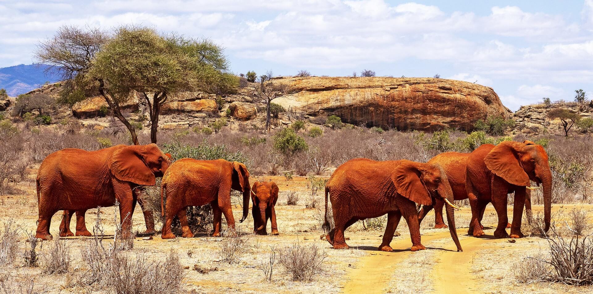 Tsavo East National Park national park
