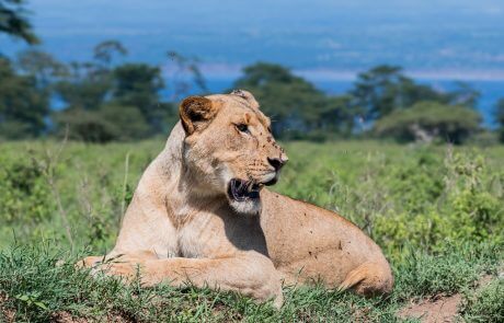 Lake Nakuru National Park