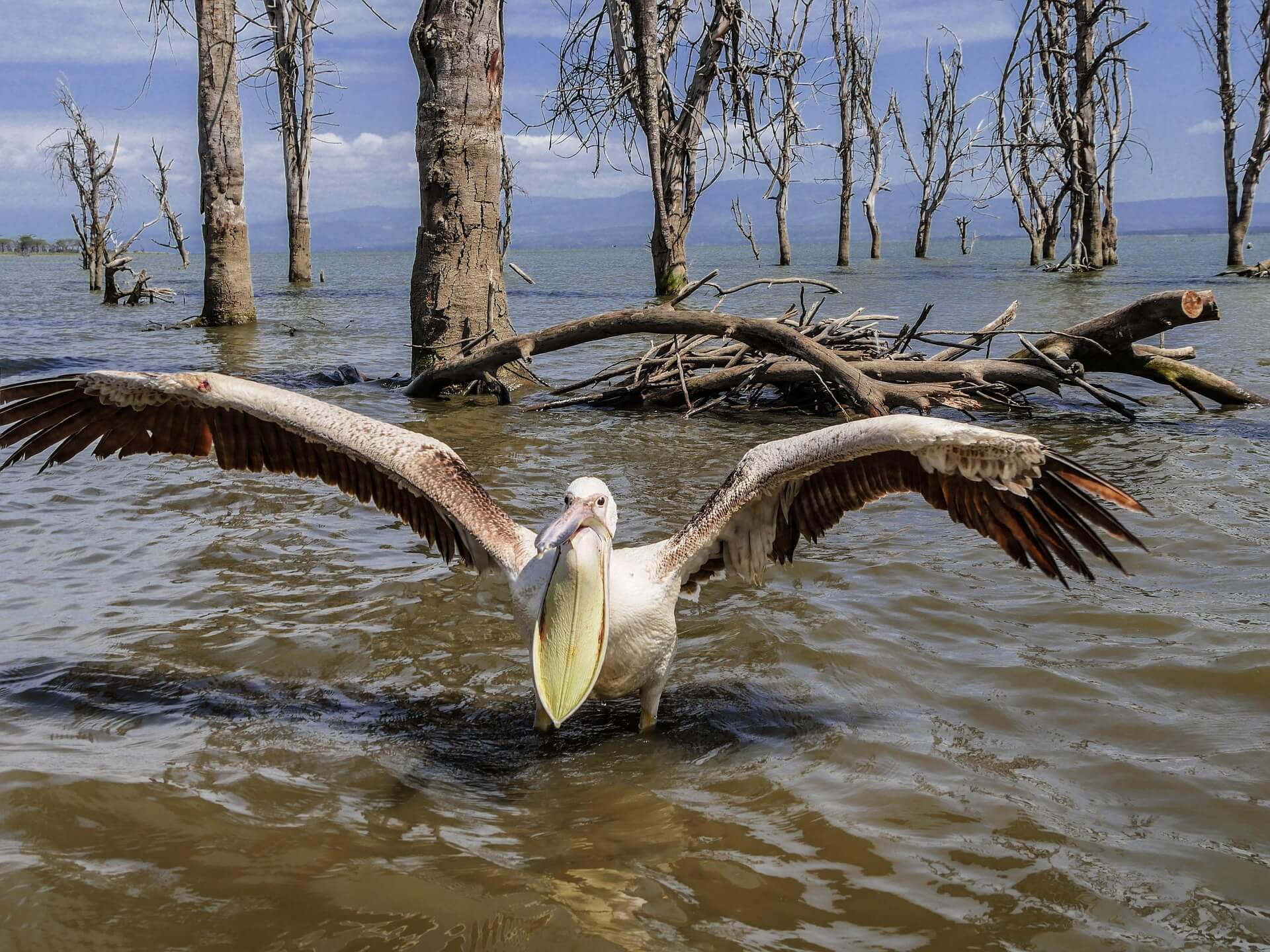 Lake Naivasha