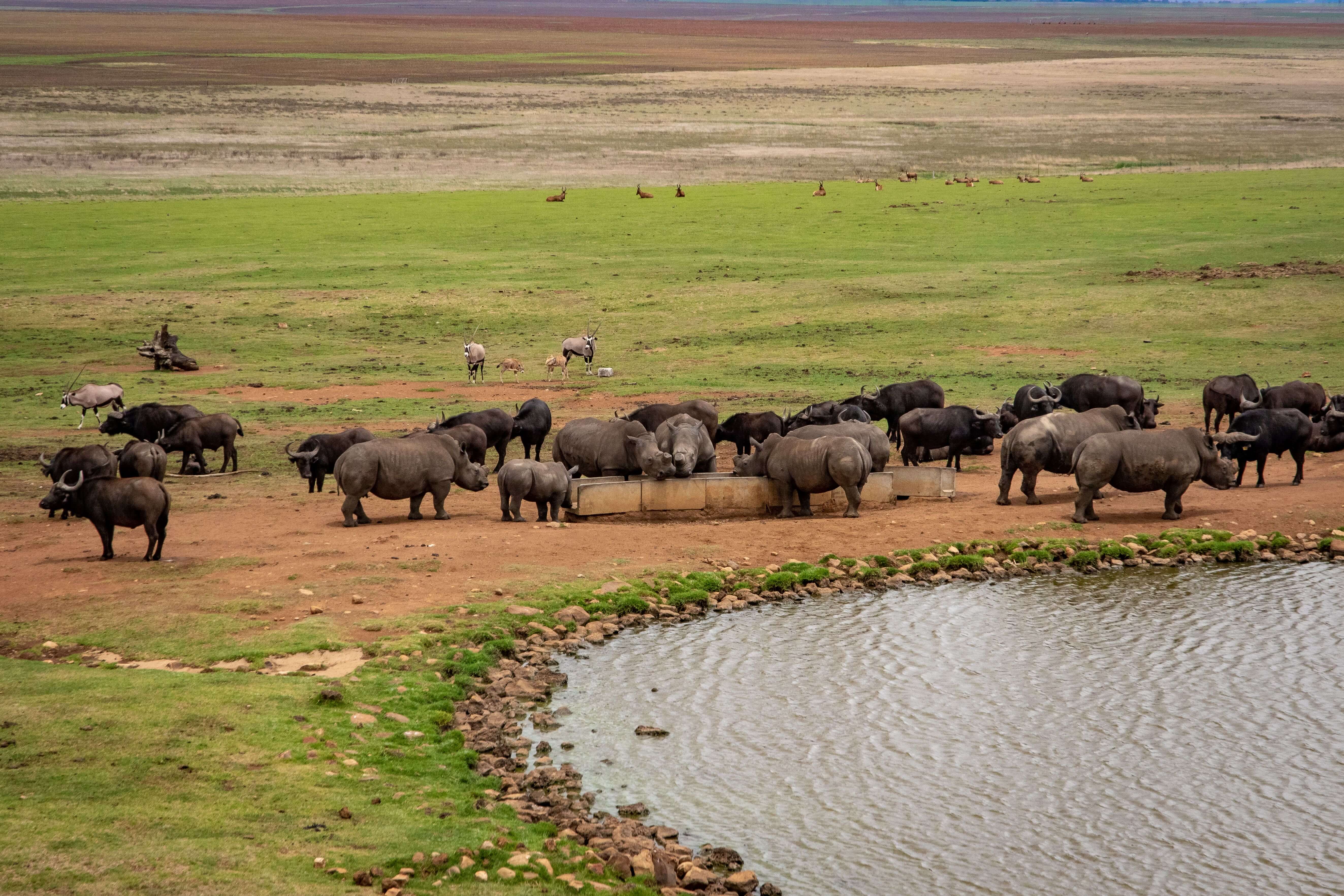 Ol Pejeta Conservancy national park