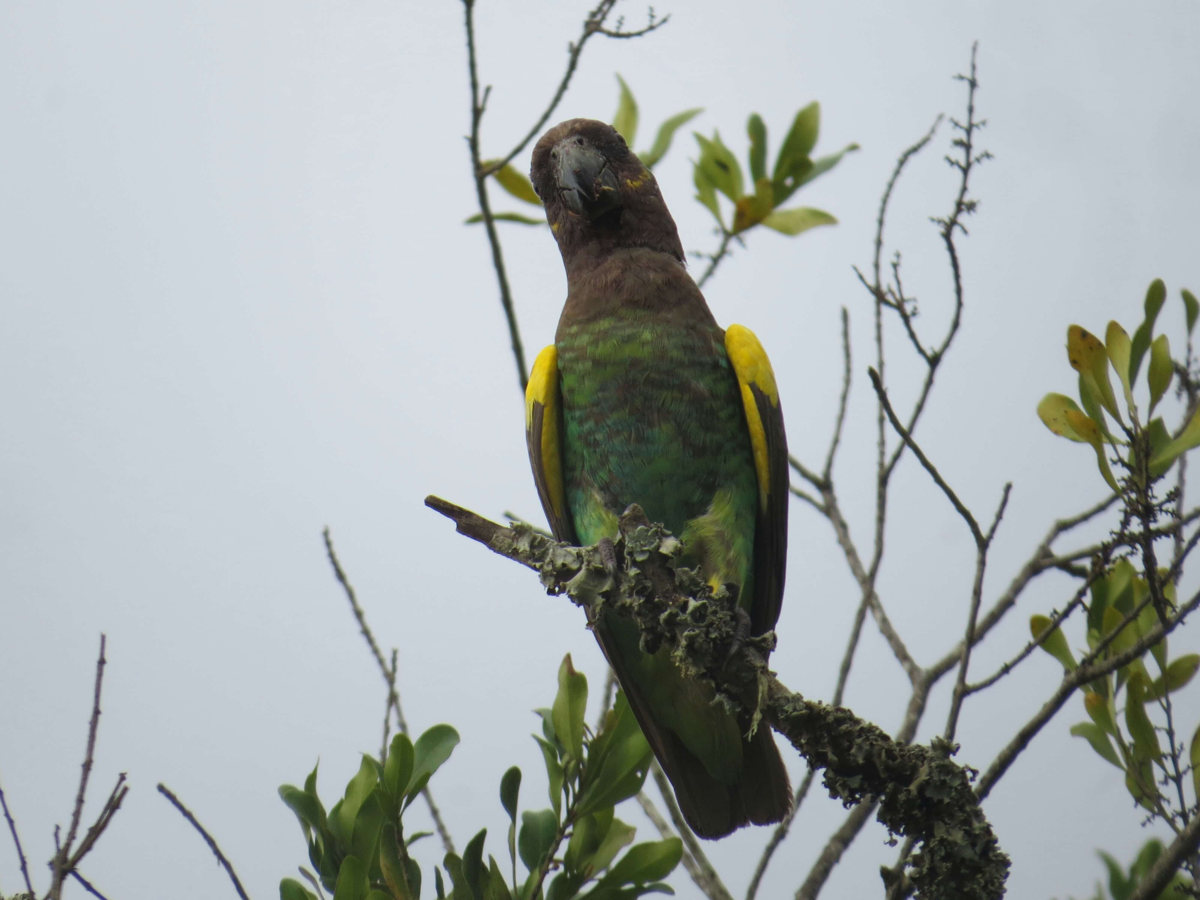 Ol Pejeta Conservancy