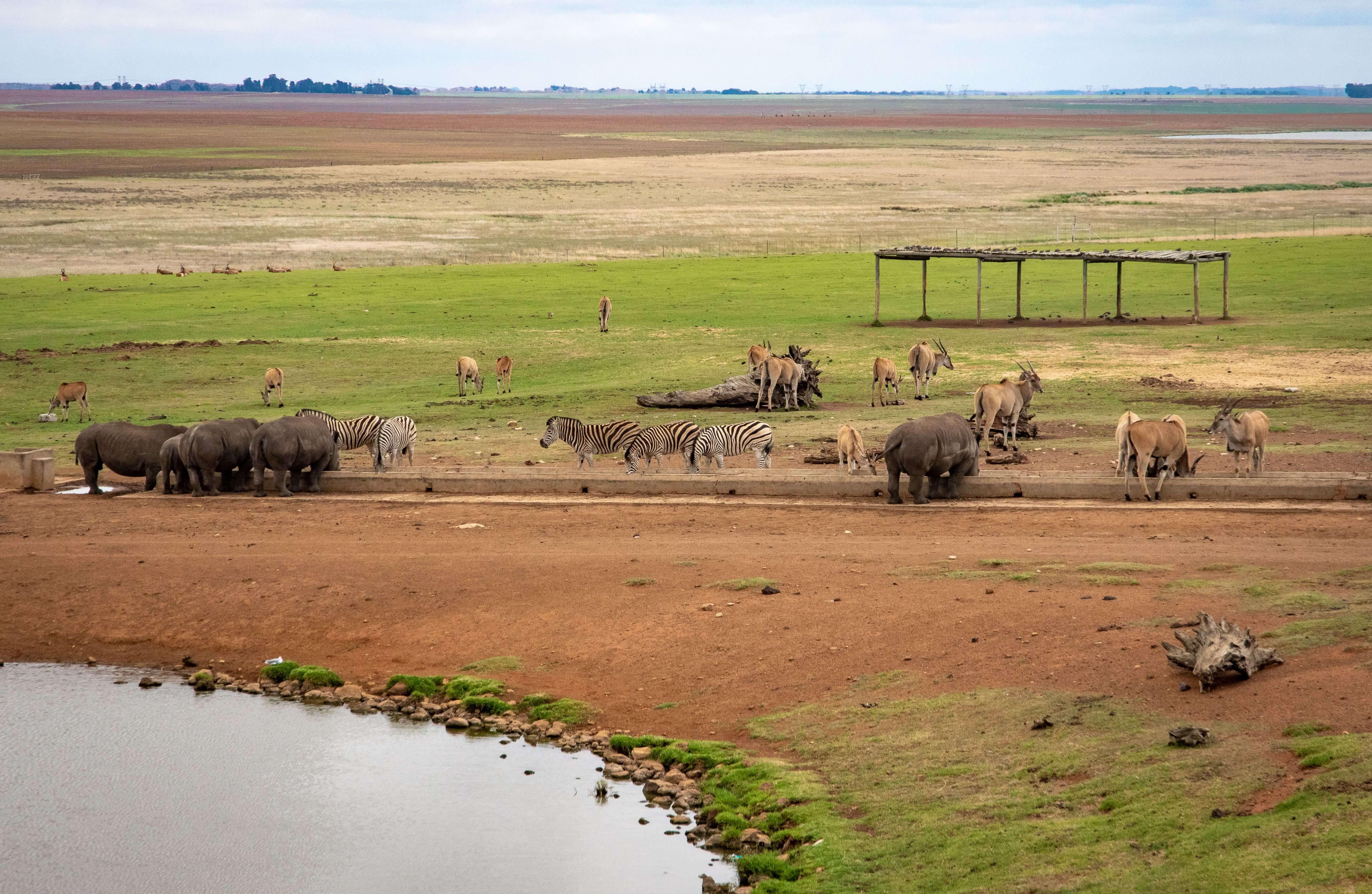 Ol Pejeta Conservancy