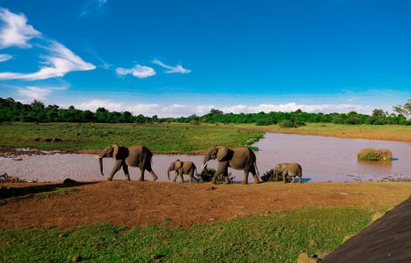 Aberdare National Park national park