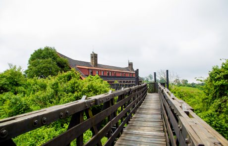 Aberdare National Park