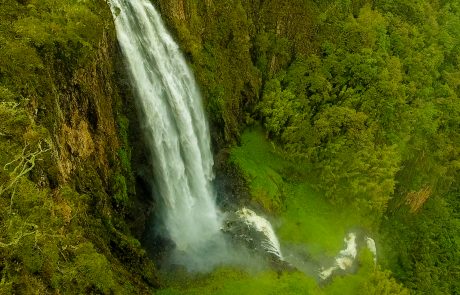 Aberdare National Park