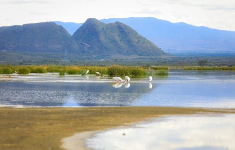Lake Elementaita Wildlife Sanctuary national park
