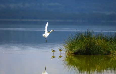 Lake Elementaita Wildlife Sanctuary