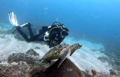 Malindi Marine National Park & Reserve