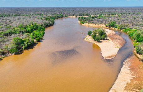Meru National Park