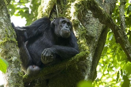 Kibale National Park