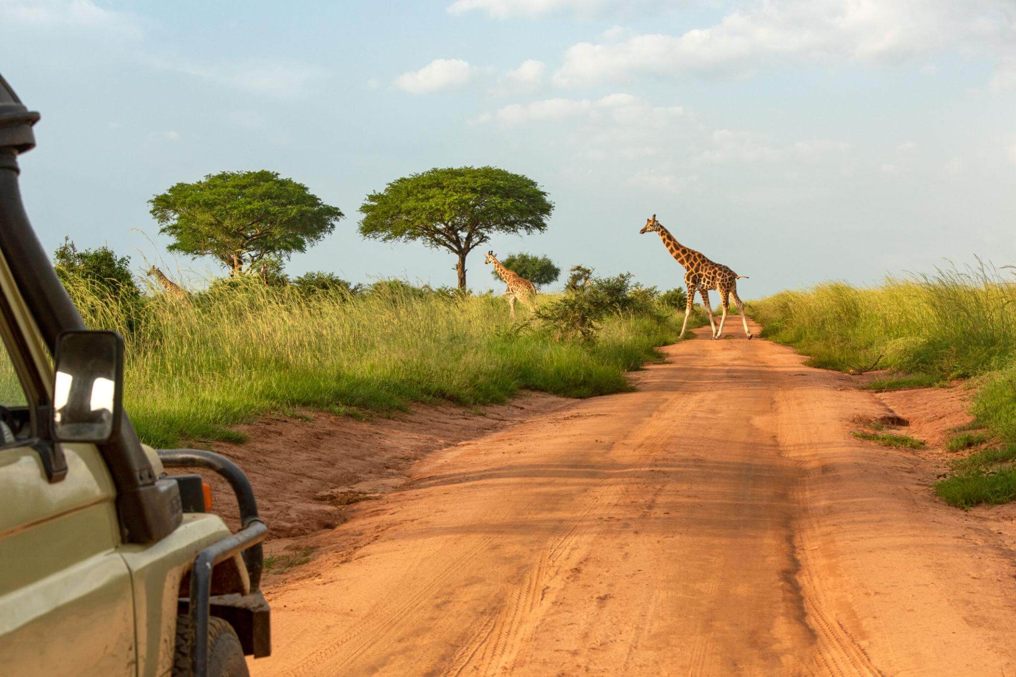 Murchison Falls National Park