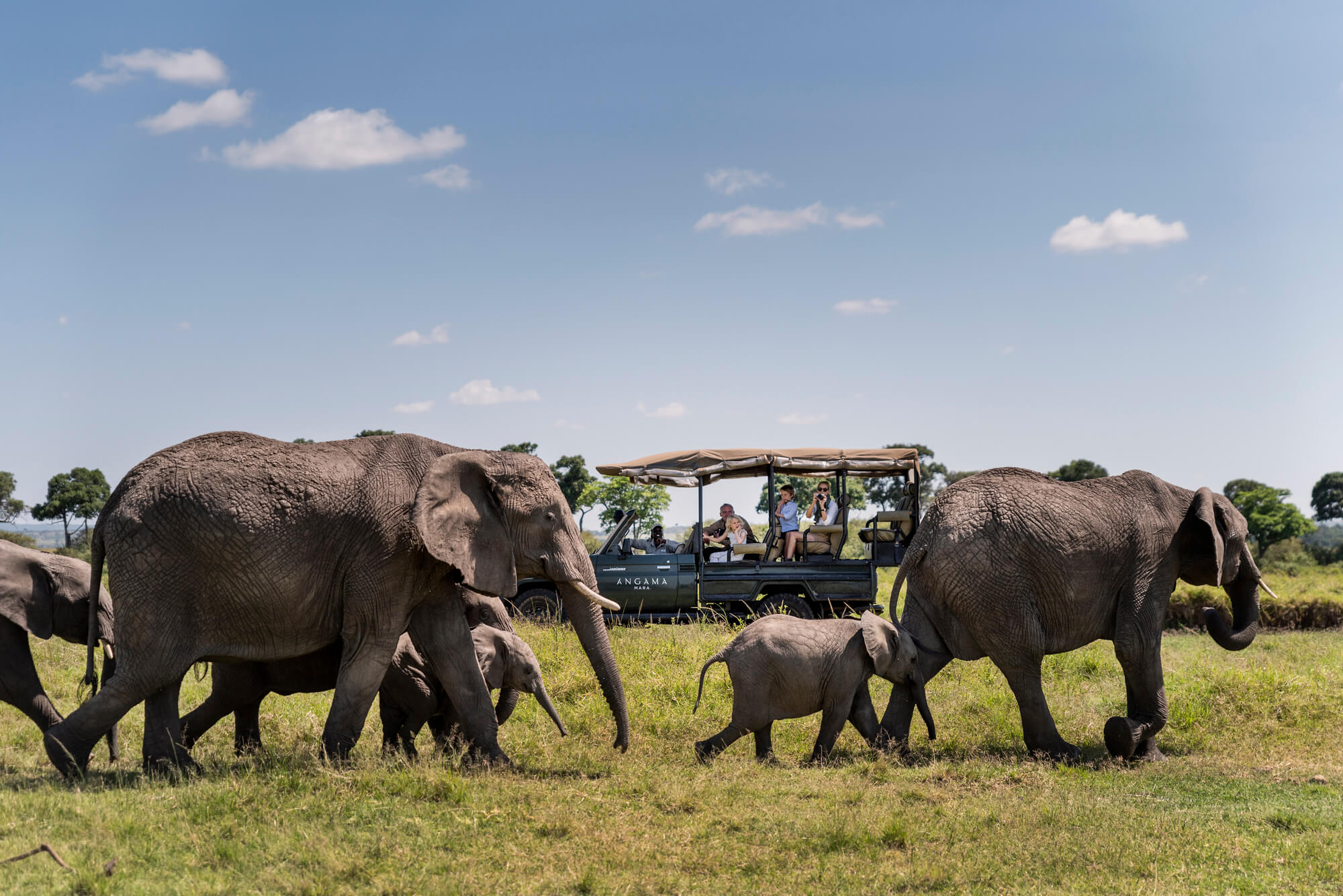 Angama Mara - Gallery