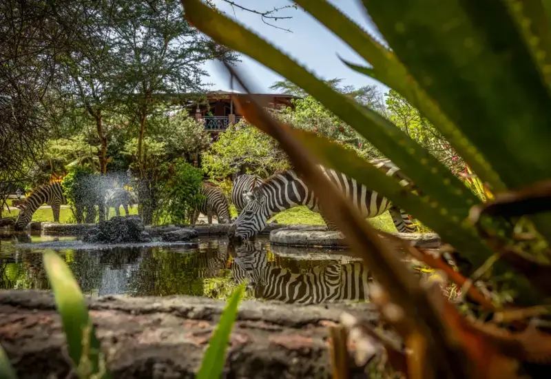 Lake Naivasha Sopa Resort - Gallery