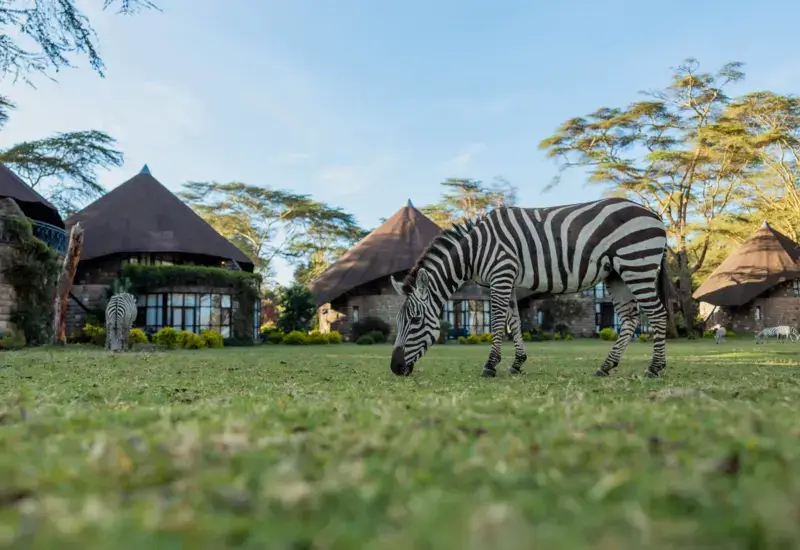Lake Naivasha Sopa Resort - Gallery