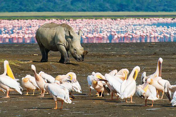 Lake Nakuru Sopa Lodge - Gallery