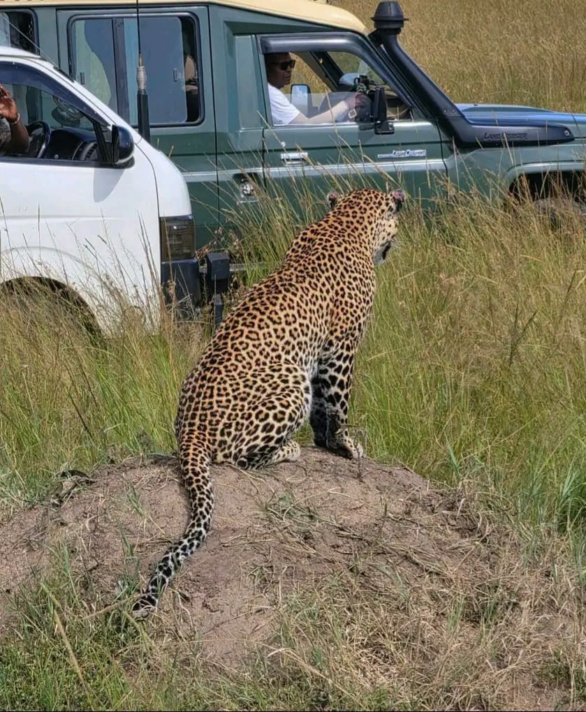 3 Days 2 Nights Maasai Mara Safari
