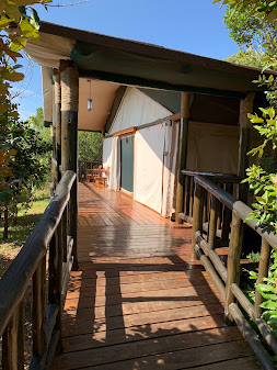 Mara Engai Lodge - Gallery