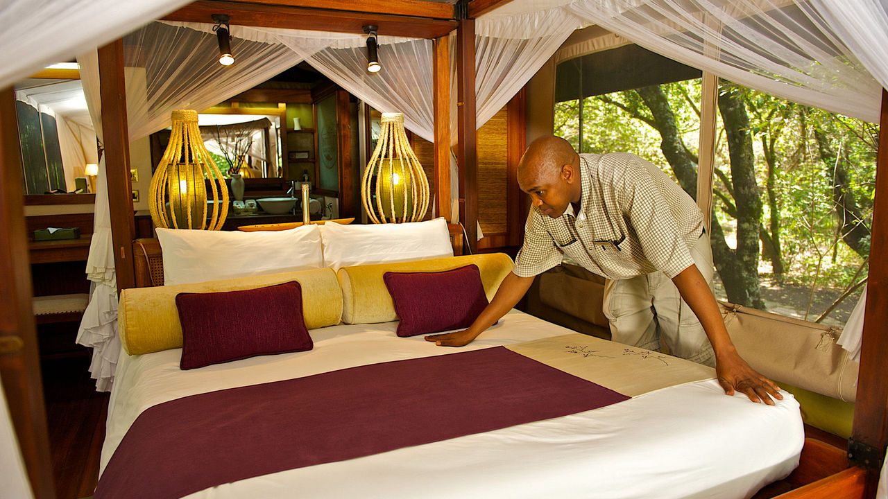 Mara Intrepids Luxury Camp - Gallery