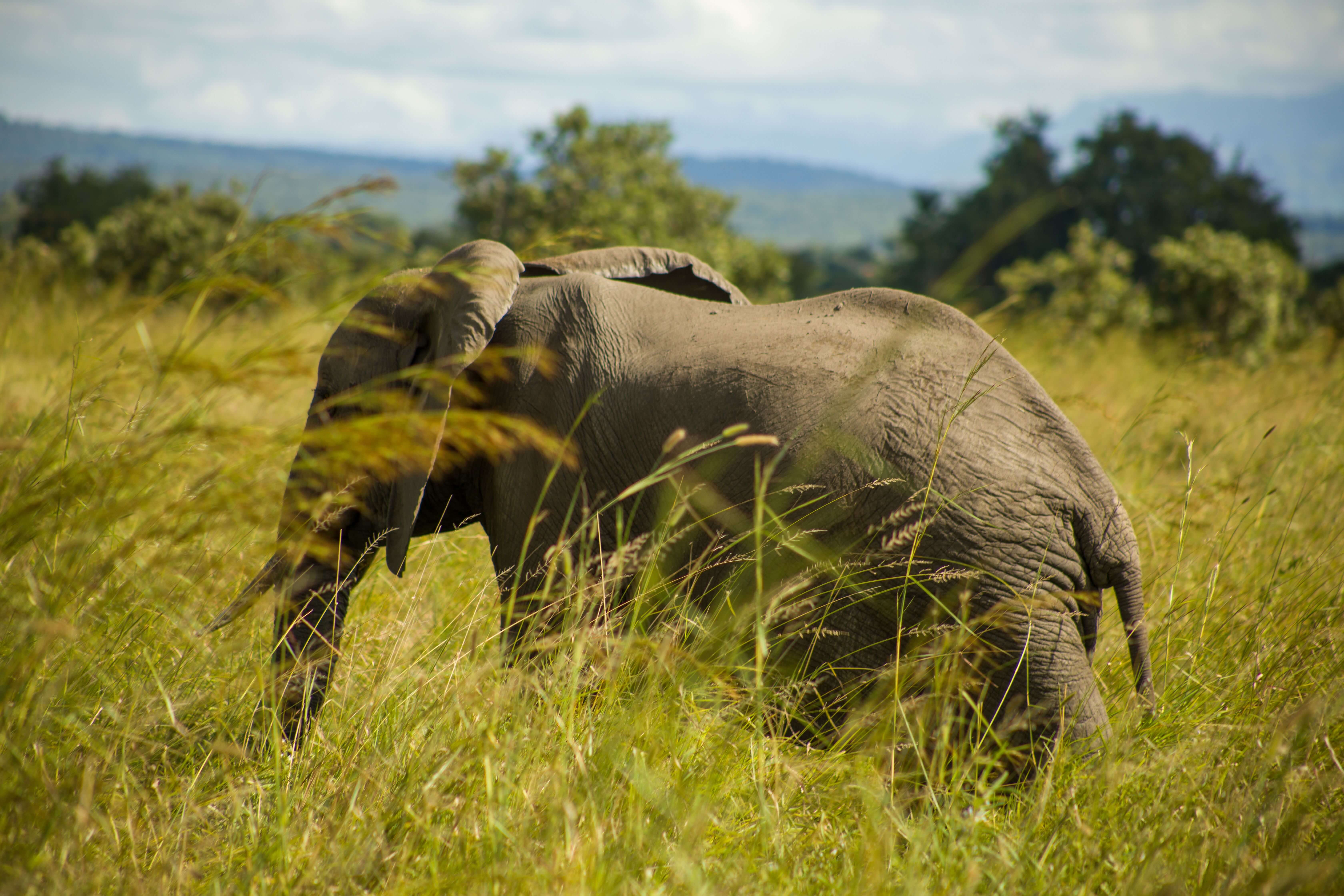 Kidepo Valley National Park