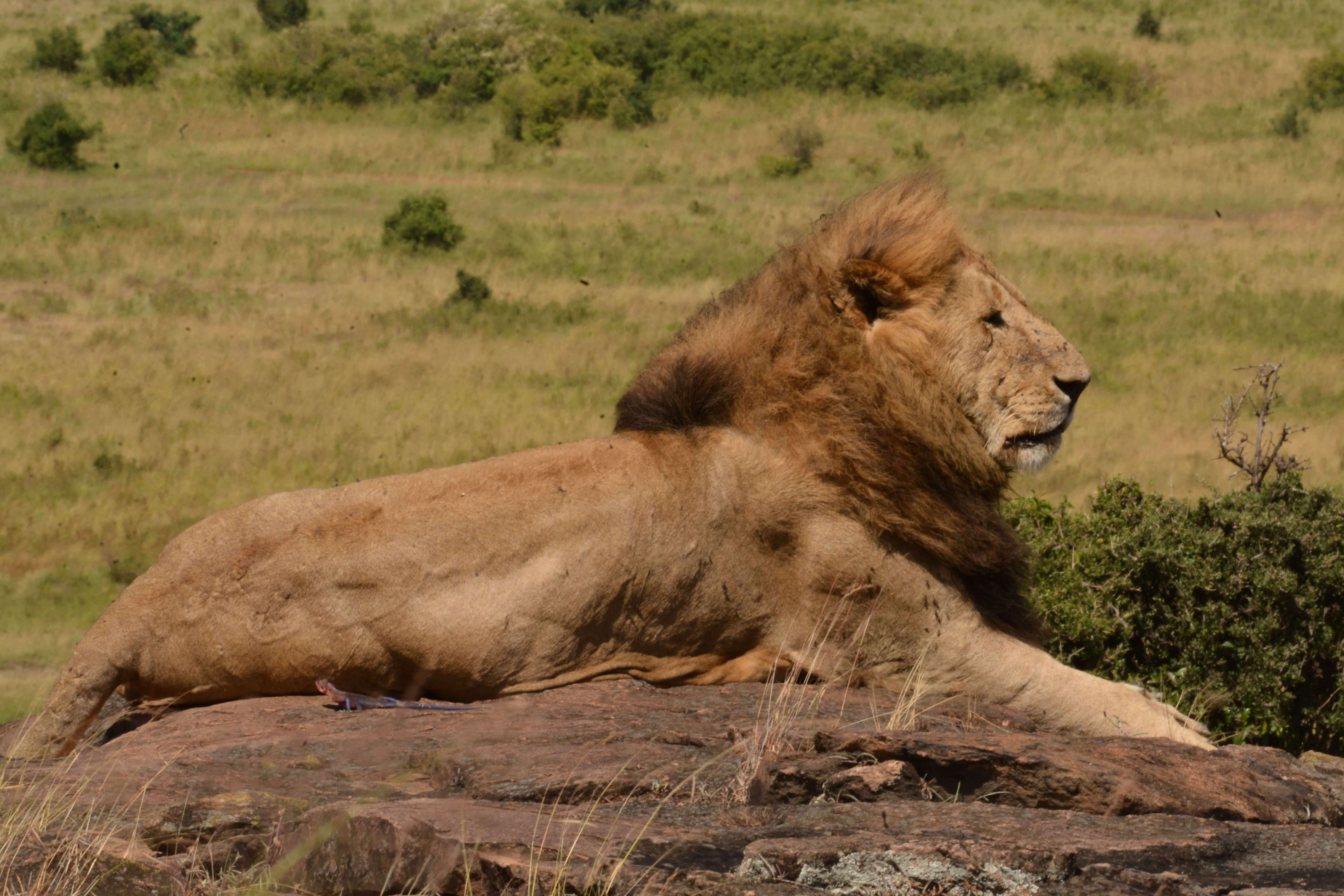 Kidepo Valley National Park