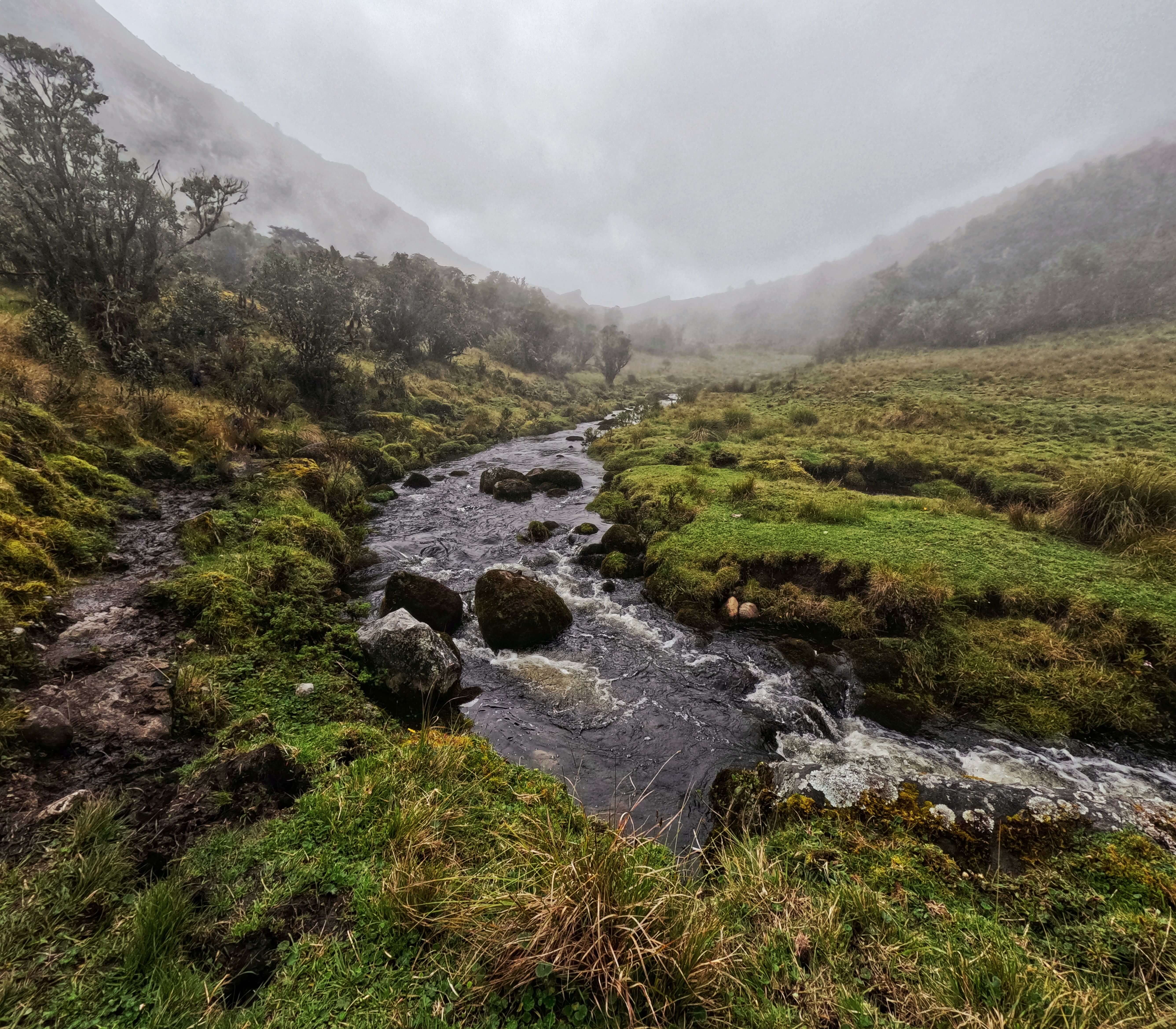 Rwenzori Mountains National Park