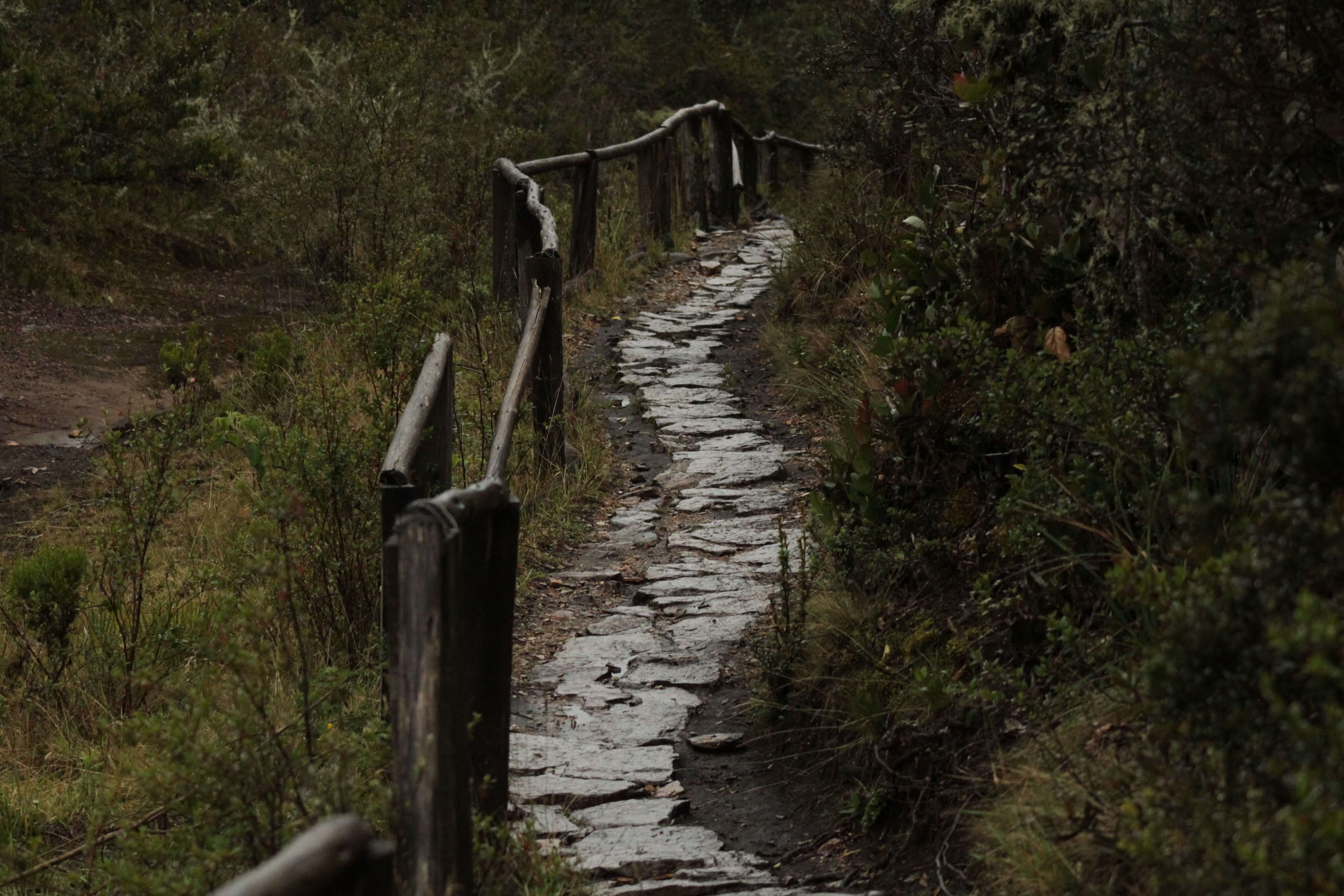 Rwenzori Mountains National Park