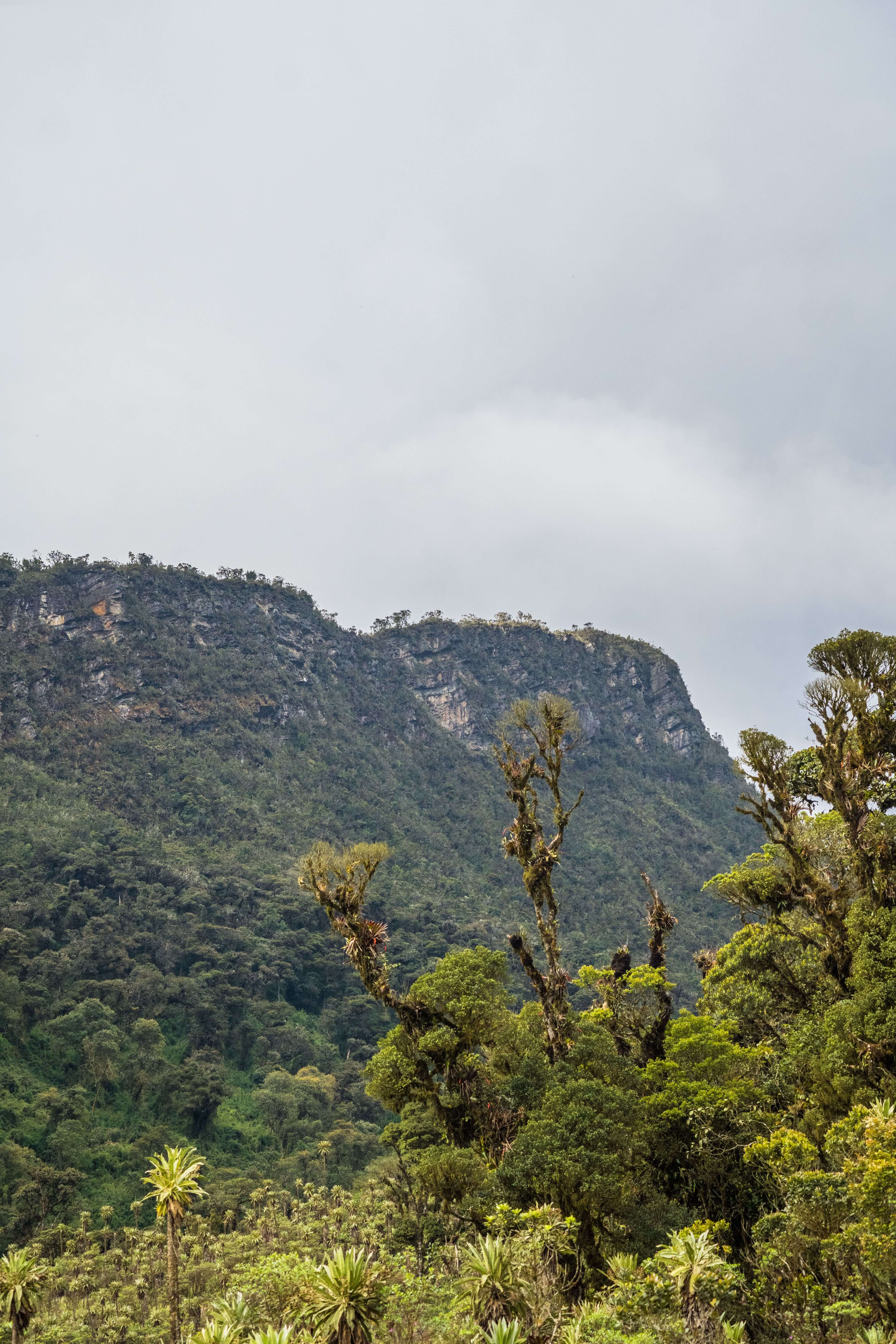 Rwenzori Mountains National Park