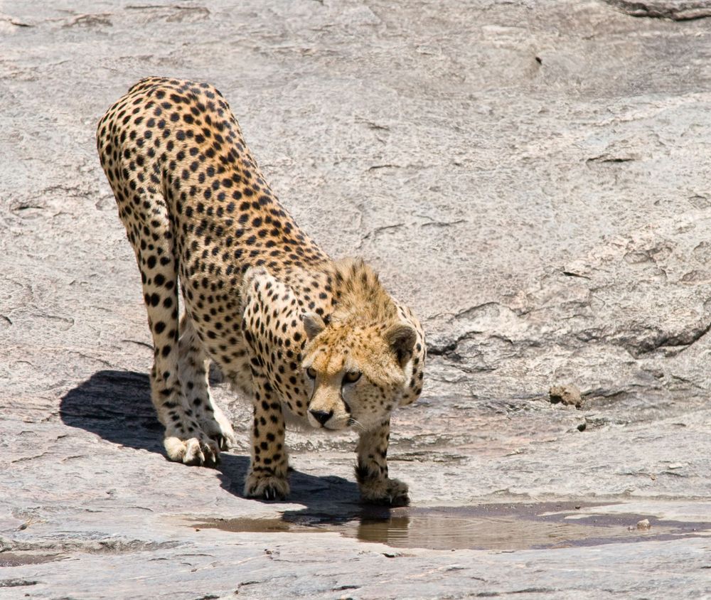 Serengeti National Park