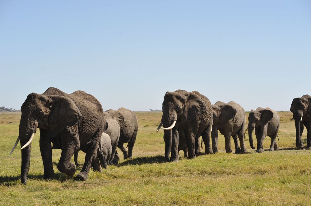 Serengeti National Park