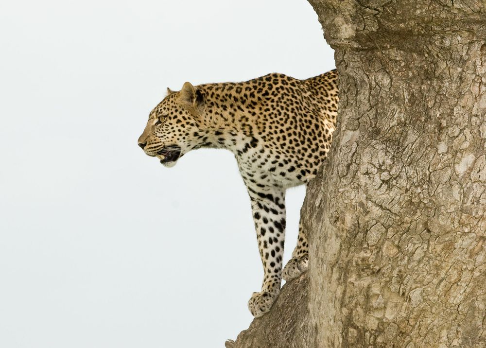 Serengeti National Park