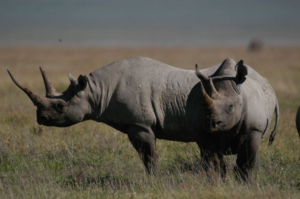 Serengeti National Park