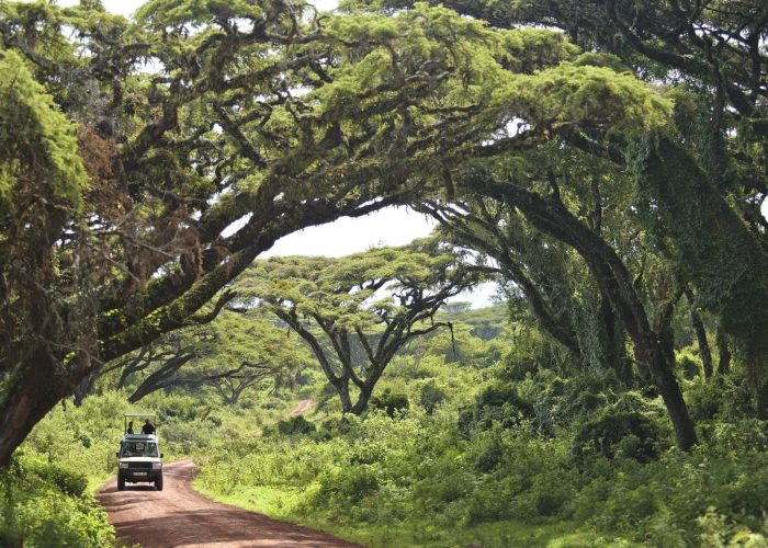Ngorongoro Conservation Area