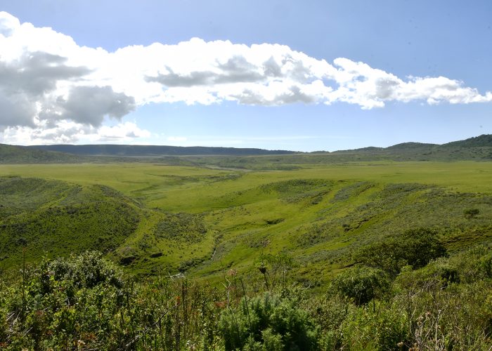 Ngorongoro Conservation Area