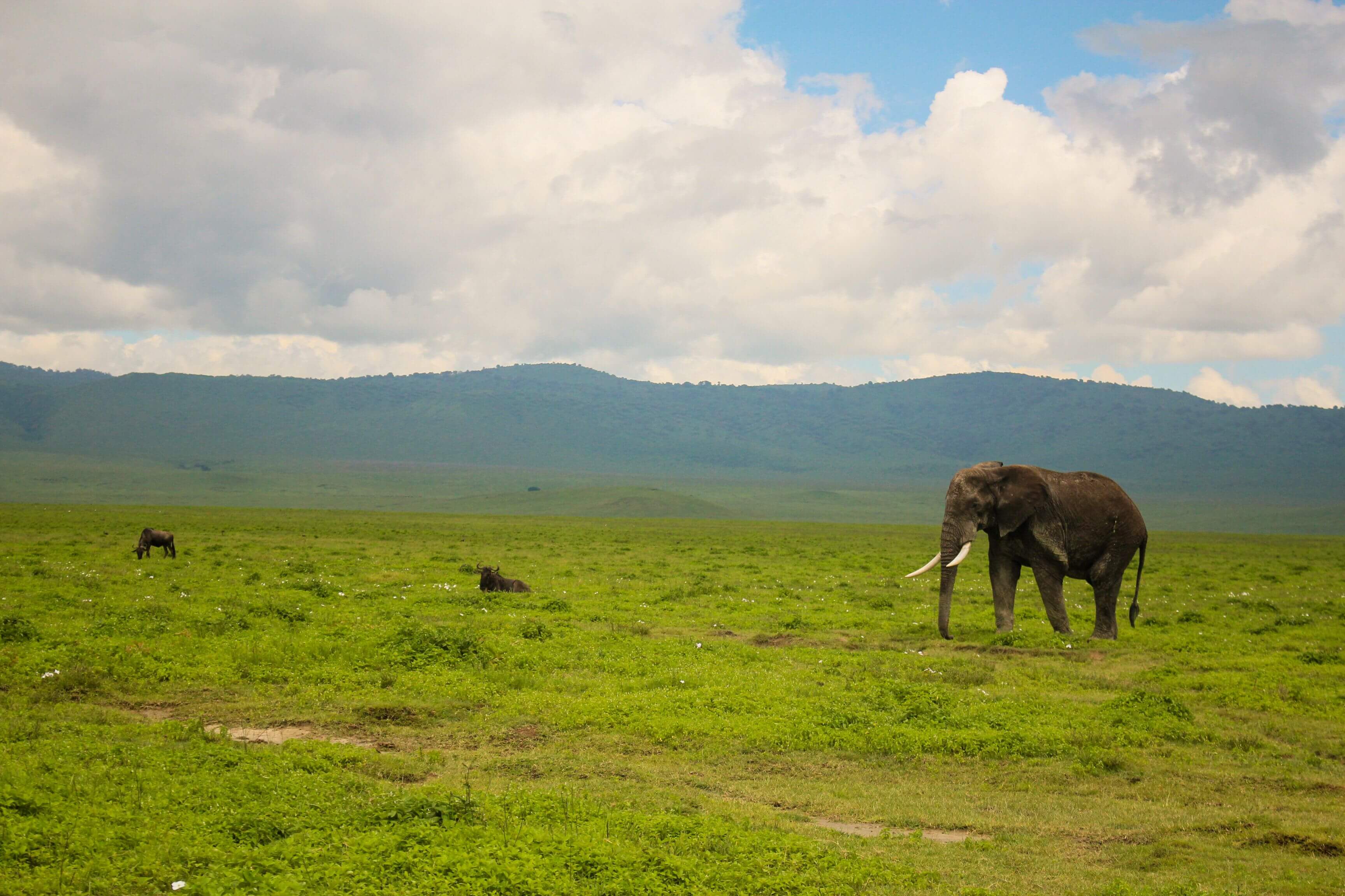Ngorongoro Conservation Area