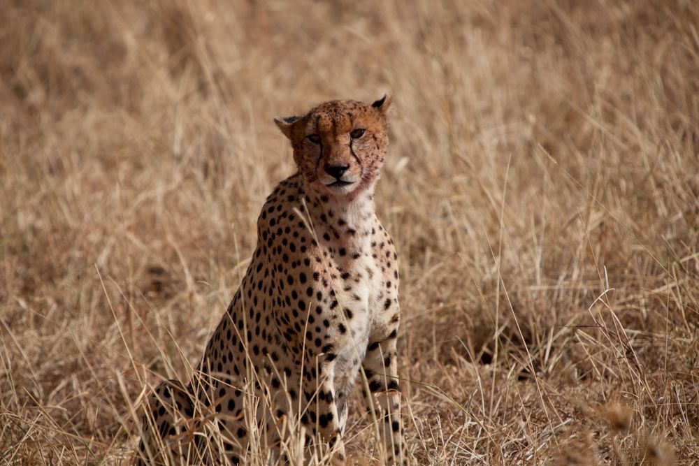 Tarangire National Park