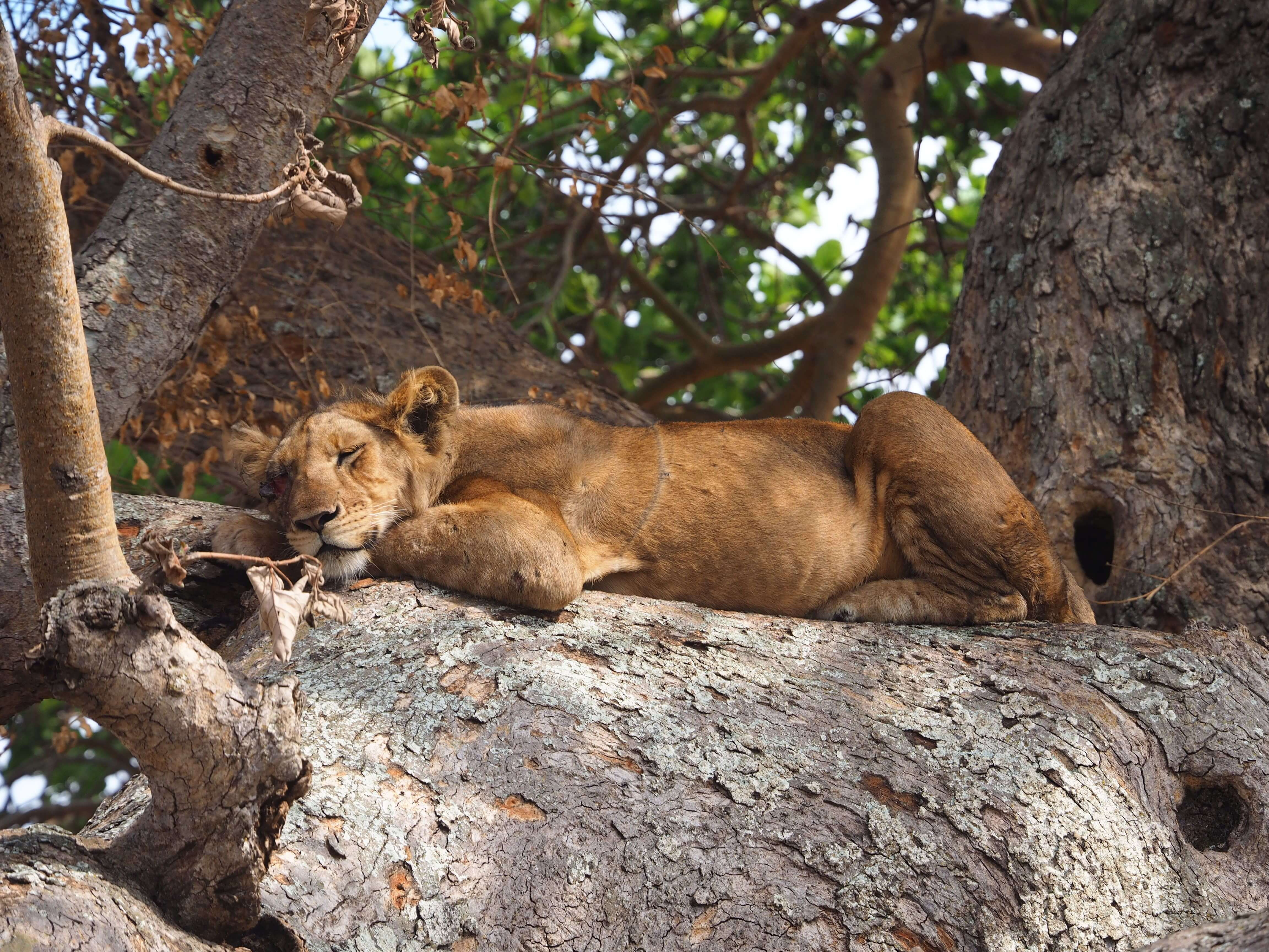 Lake Manyara National Park