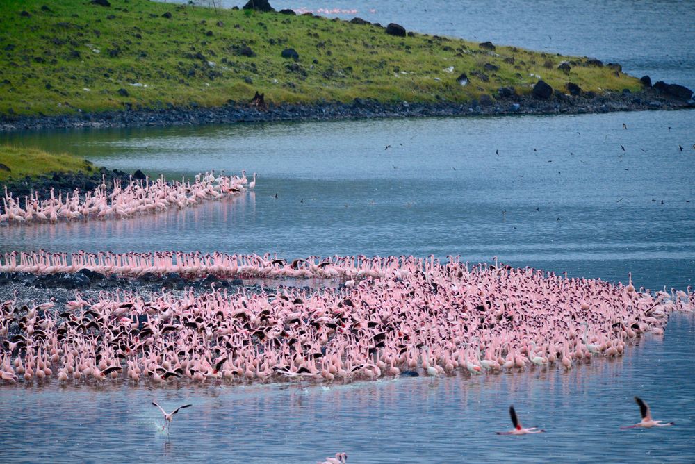 Arusha National Park national park