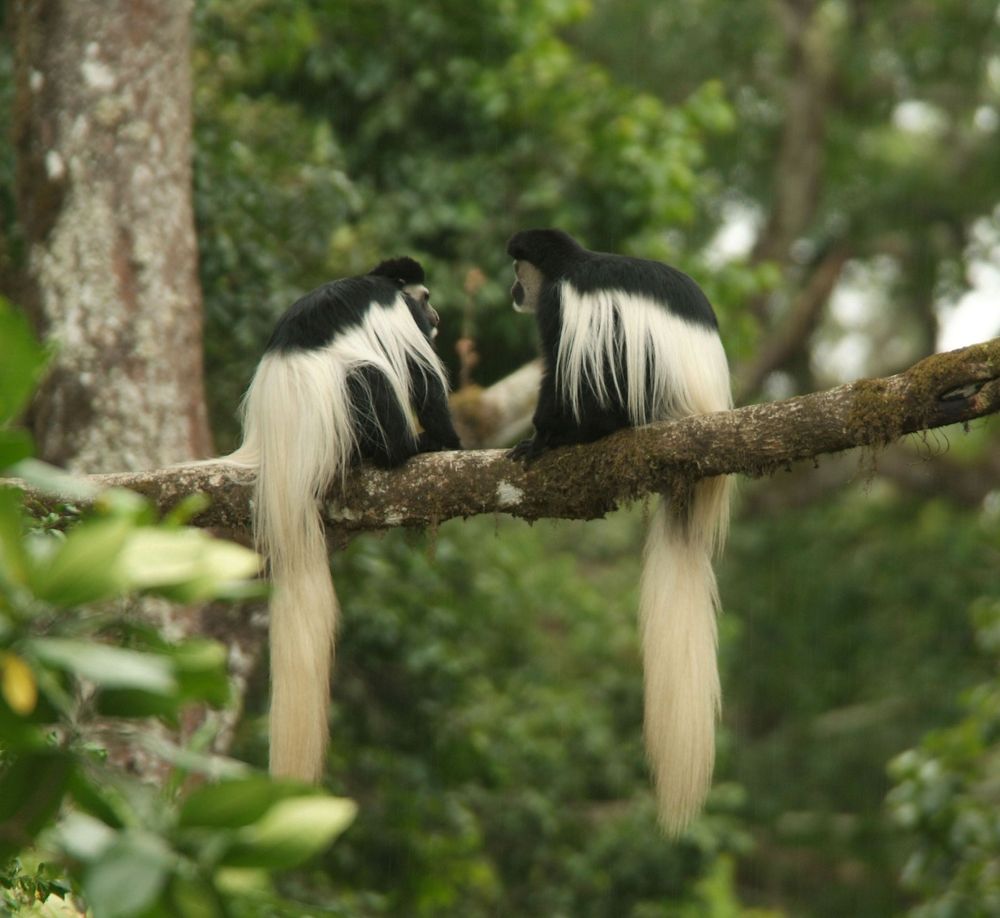 Arusha National Park