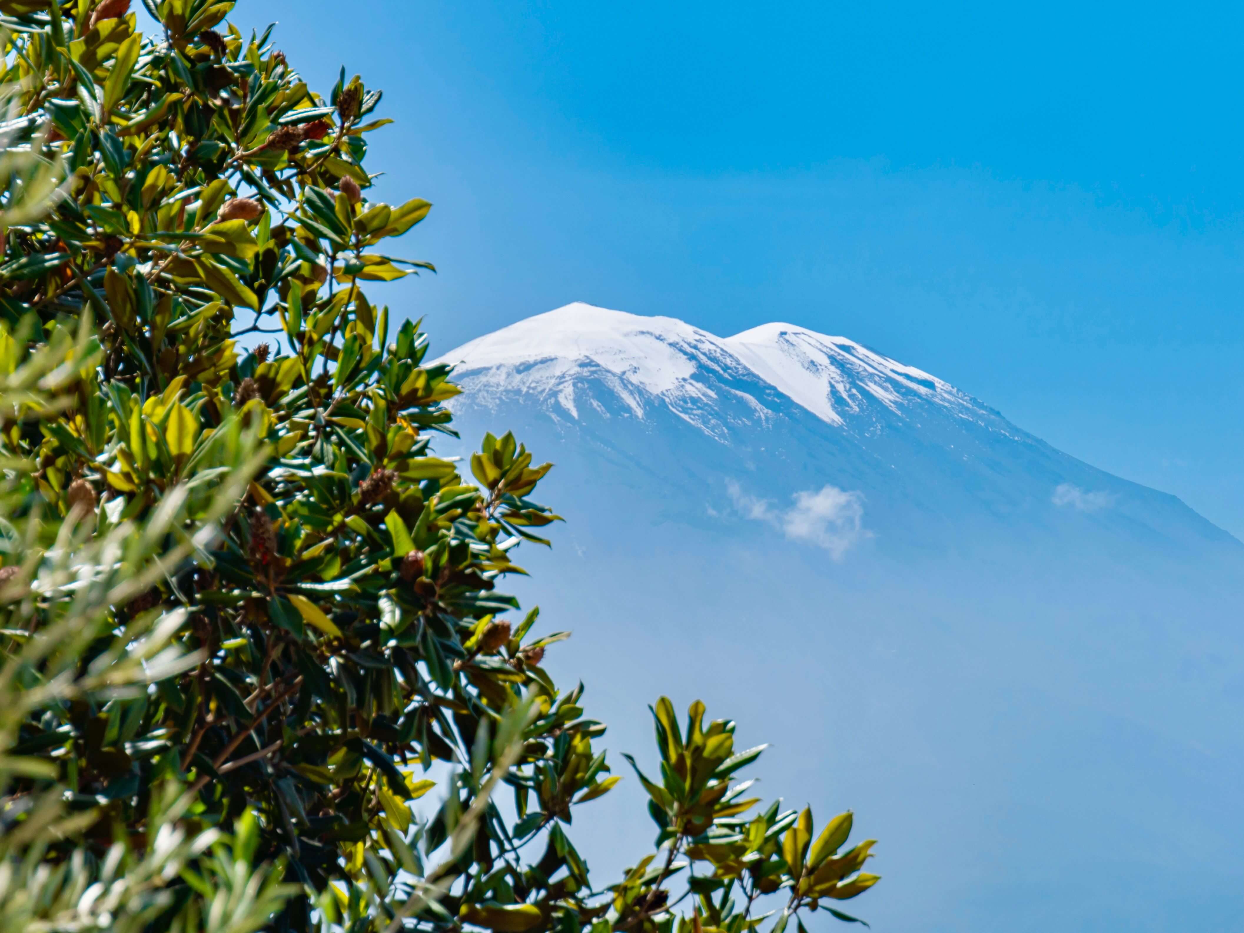Mount Kilimanjaro National Park