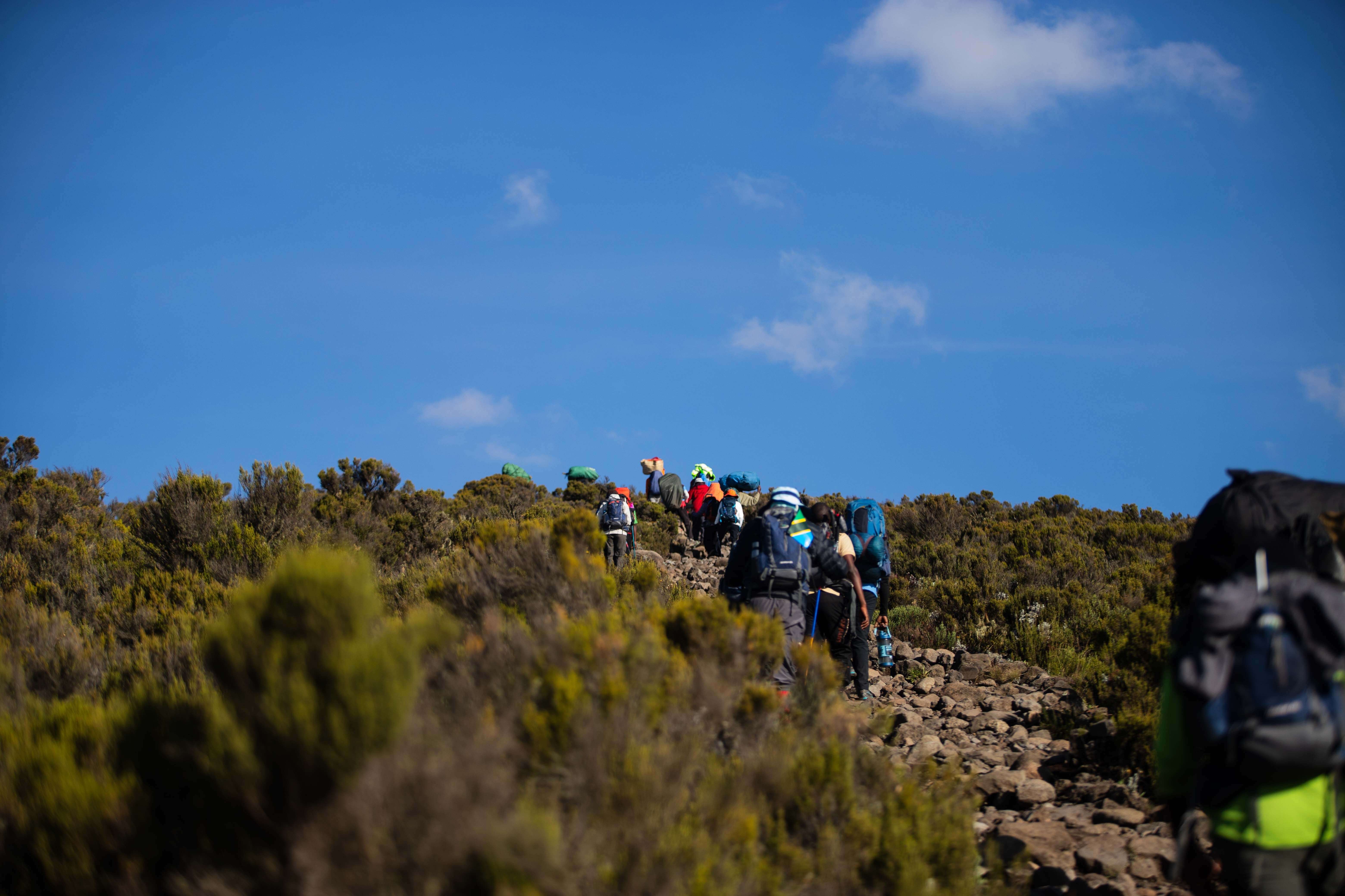 Mount Kilimanjaro National Park