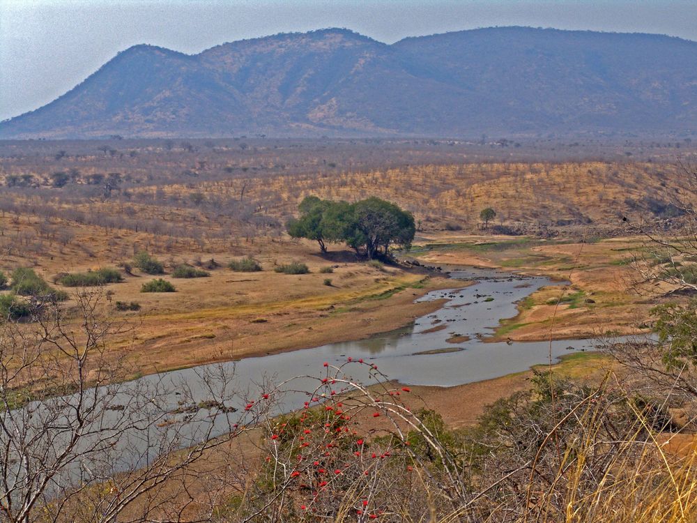 Ruaha National Park