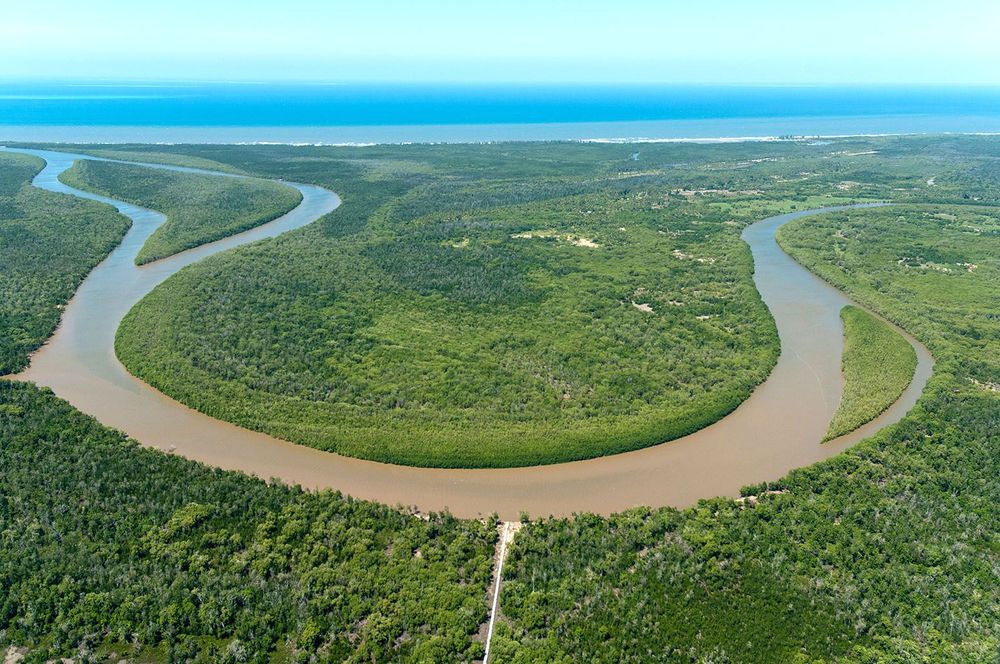 Nyerere National Park