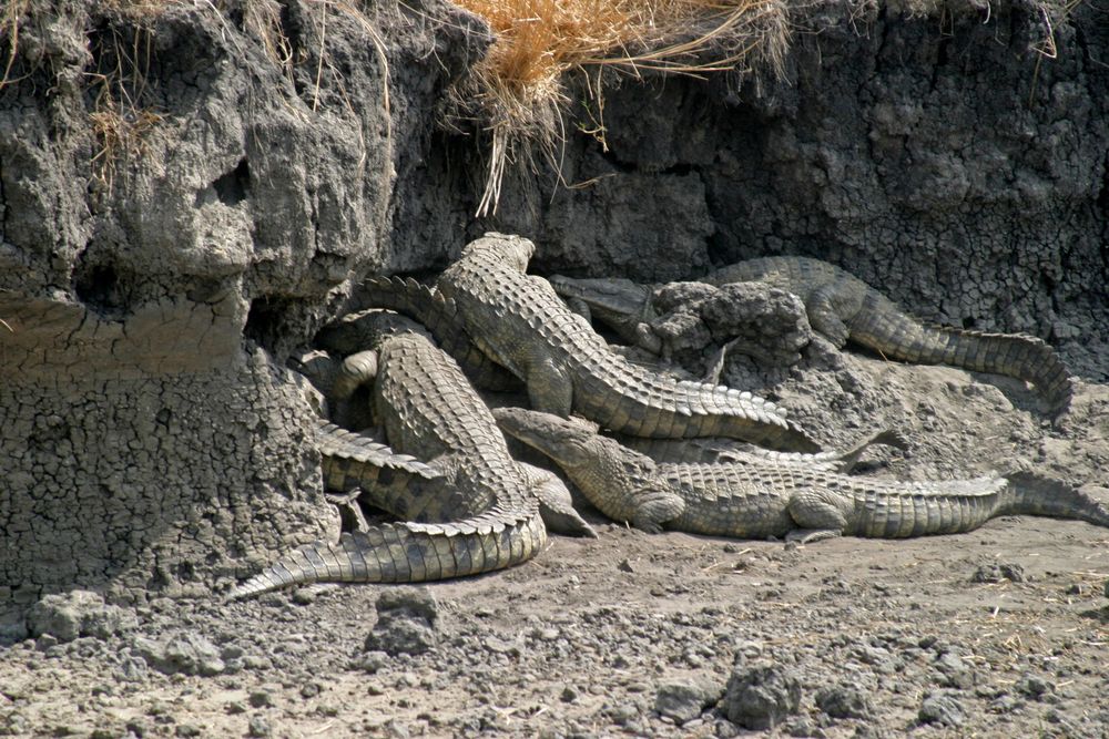 Katavi National Park