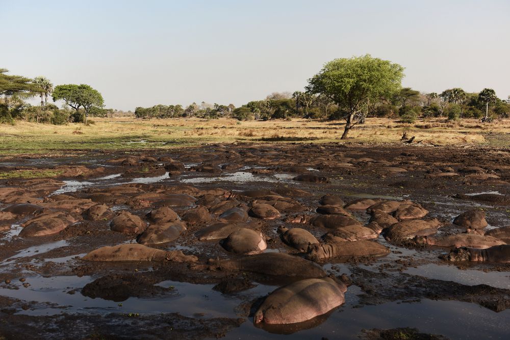 Katavi National Park